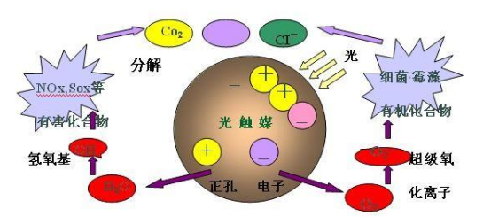 光觸媒能除甲醛么？光觸媒哪個牌子好？