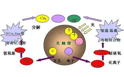 新房除甲醛，光觸媒是不是最有效的？